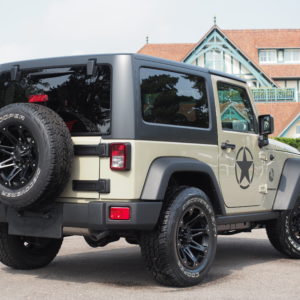 Jeep Wrangler Rubicon Gobi de dos